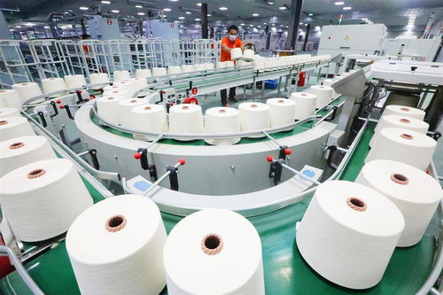 棉纺企业产销两旺，针织品行业迎来新局